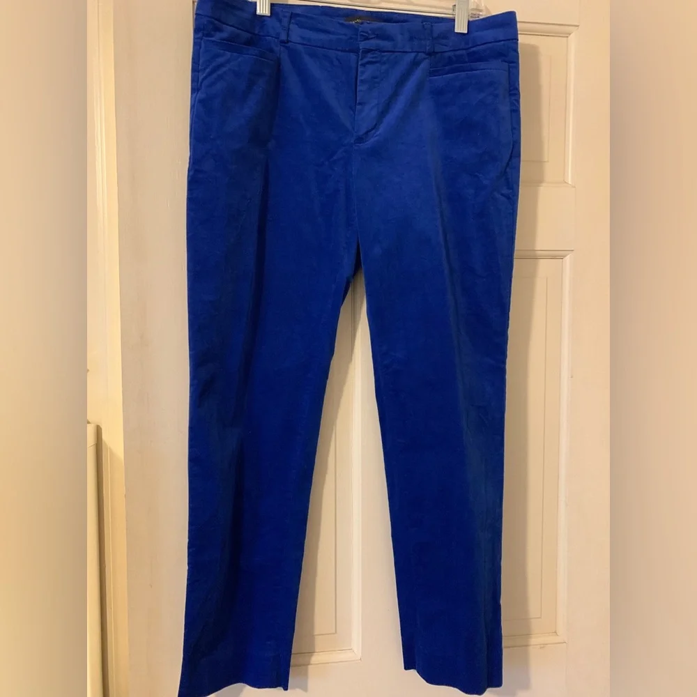 Beautiful rich blue velvet skinny pant - Picture 1 of 5